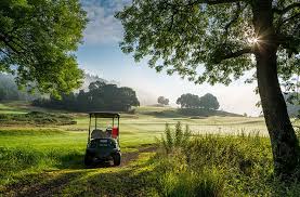 Image result for Aberfoyle Golf Club