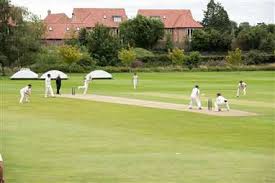 Image result for Mildenhall Cricket Club