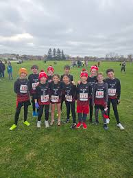 Image result for Palatine Veterans Club