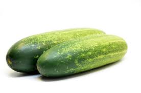 Image result for Gurke