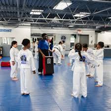 Image result for Elite Martial Arts Academy