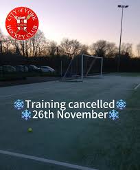 Image result for York University Street Hockey Club