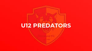 Image result for Predators Fc