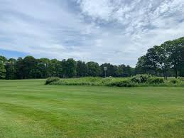 Image result for Falmouth and Helston Octopush Club