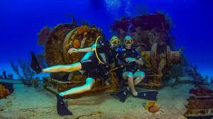 Image result for World Divers