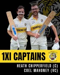 Image result for Chipperfield Cricket Club