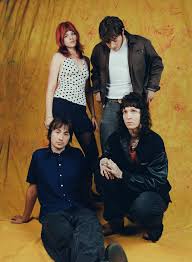 Image result for Easi-RockIts