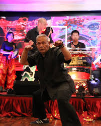 Image result for Salisbury Lau Gar Kung Fu Club