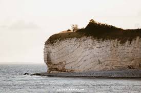 Image result for stevns klint