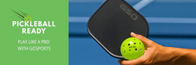 Image result for Gosport Pickleball Club