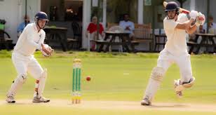 Image result for Effingham Cricket Club