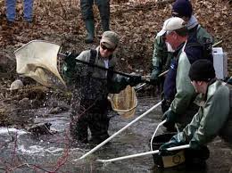 Image result for Trimpley Anglers Association