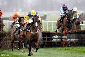 Image result for Liverpool Equestrian Club