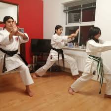 Image result for Zen Shin Seicho Do Adult Karate
