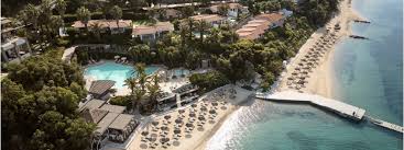 Image result for Palace Eagles Octopush Club