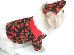 cane2