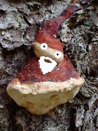 Attēlu rezultāti vaicājumam “Nowellia curvifolia sporophyte”