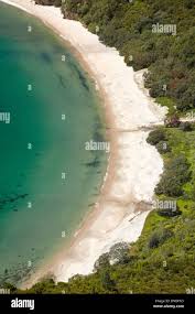 Image result for new chums beach