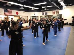 Image result for Elite Martial Arts Academy