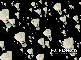 Image result for Highfield (Southampton) Badminton Club