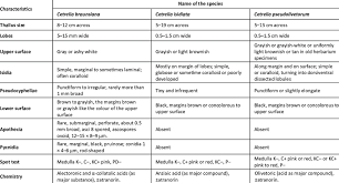 Attēlu rezultāti vaicājumam “Cetrelia sp.”