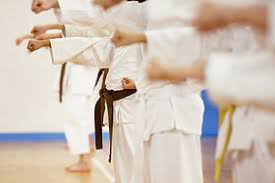 Image result for Sokudo Martial Arts Club