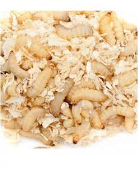 Image result for Airdrie & District Angling Club