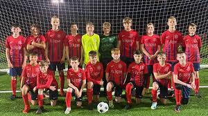 Image result for Wyvern Dragons Junior Badminton Club