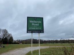 Image result for Lyndhurst Football Club