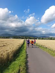 Image result for Wee County Harriers