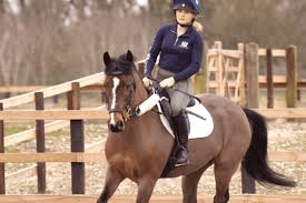 Image result for Abinger Forest Riding Club