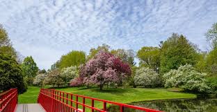 Image result for Airborne West Midlands