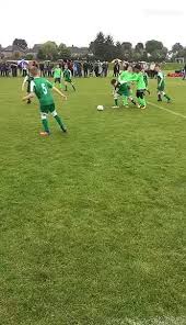Image result for Welwyn Garden City Panshanger Football Club