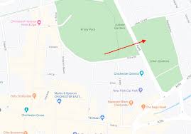 Image result for Chichester Sharks