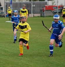 Image result for Kilmallie Shinty Club