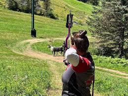 Image result for Panther Bowhunters Field Archery Club