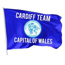 Image result for Utf Taekwondo Cymru Cardiff