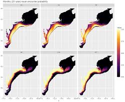 Image result for Myzopsetta ferruginea