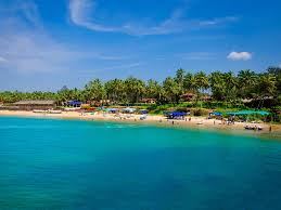 Image result for goa beaches