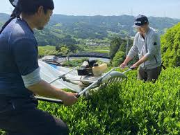 Image result for %EF%BC%92%EF%BC%90%EF%BC%90%EF%BC%B6%E3%80%80%EF%BC%93%E6%9C%AC%E3%