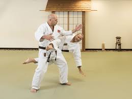 Image result for Budo Shin Ryu Kempo Jujitsu Academy