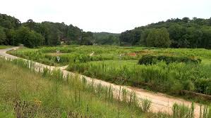 Image result for Ashville College Disc Golf Club