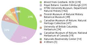 Attēlu rezultāti vaicājumam “Scapania mucronata”