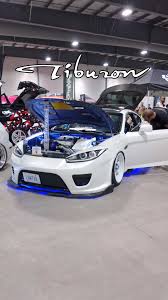 Image result for tuscani tibu...start=0