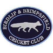 Image result for Buscot Park Cricket Club