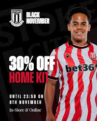 Image result for Stoke Potters