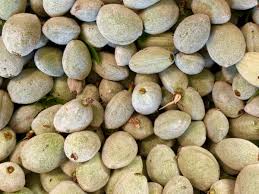 Image result for fresh green almonds