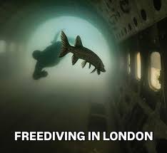 Image result for Notanx Freedive Club