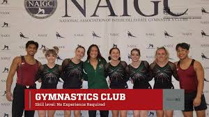 Image result for Loughton Gymnastics Club
