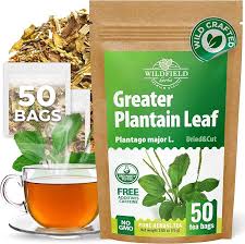 Attēlu rezultāti vaicājumam “Plantago media leaf”